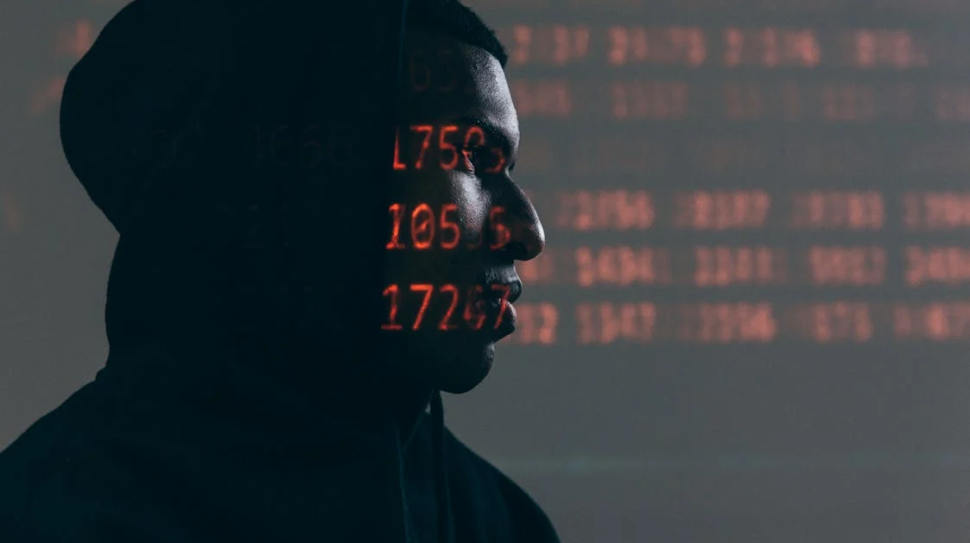 pexels-photo-5952651