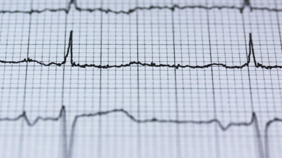 pexels-pixabay-415779-1300x600