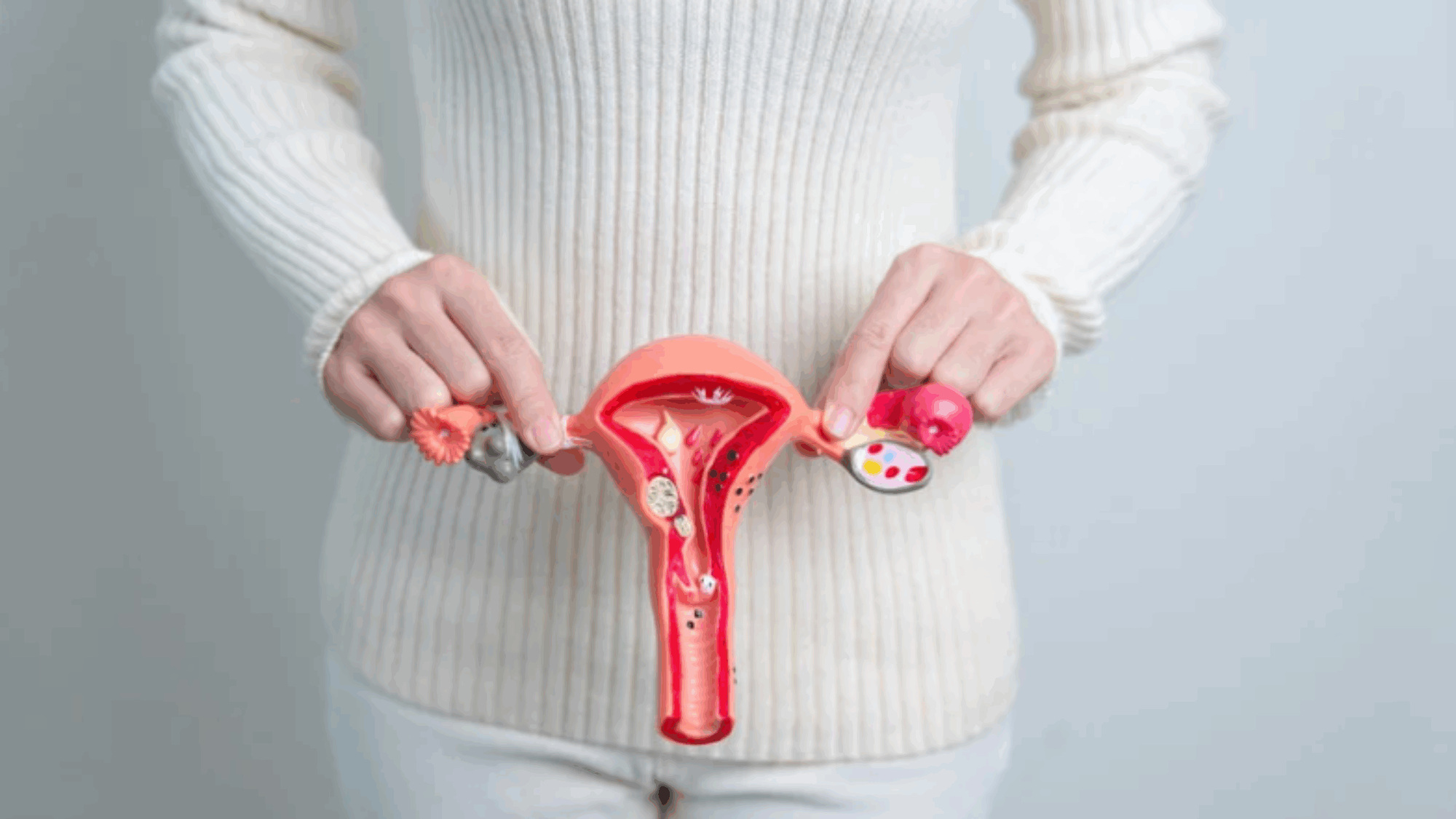 Ινομυώματα