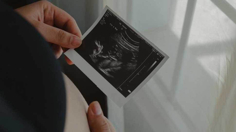 pexels-lazaro-rodriguez-jr-11199025-6565036