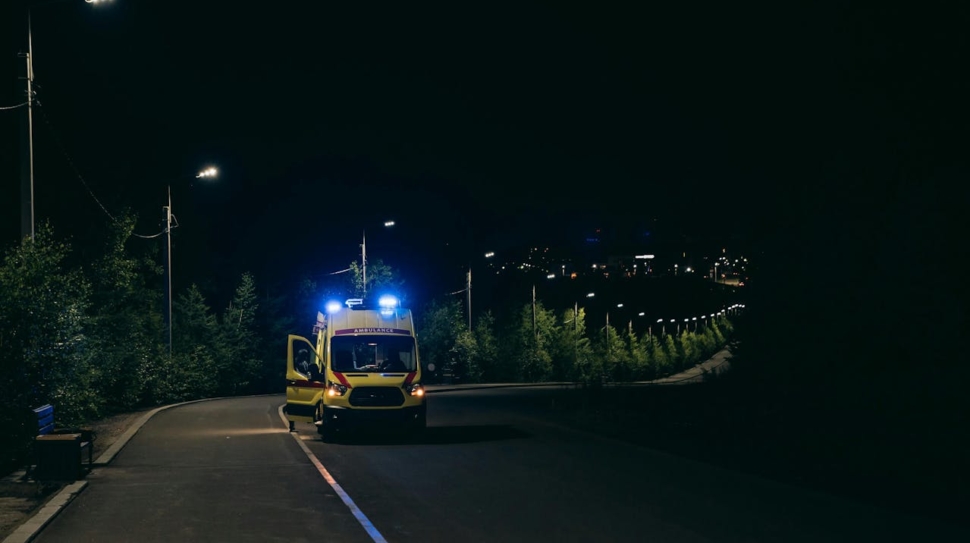 pexels-mikhail-nilov-28123710