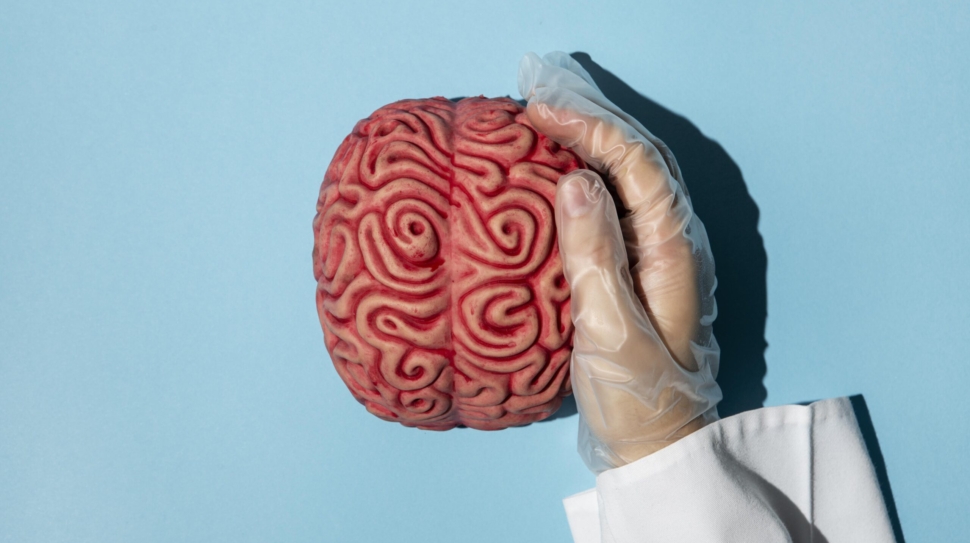 top-view-person-holding-brain