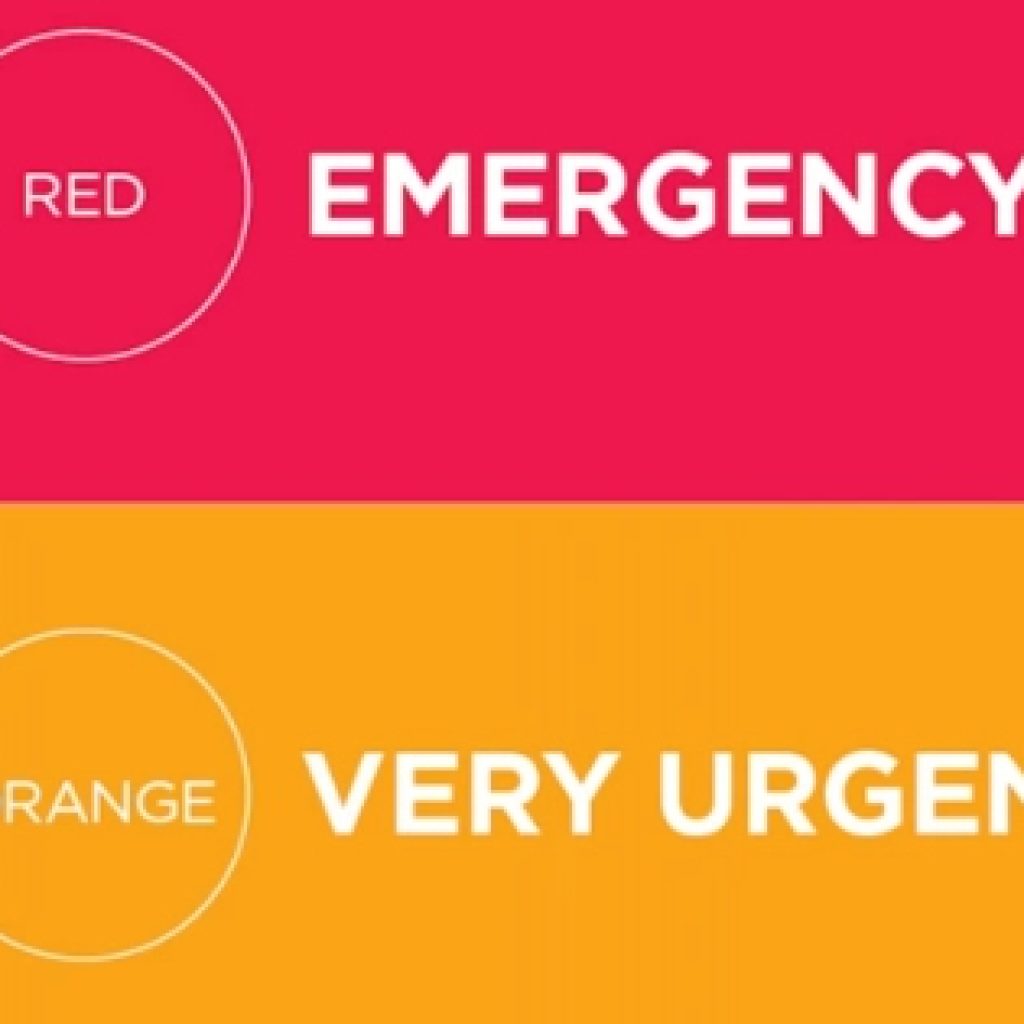 ertriage scale