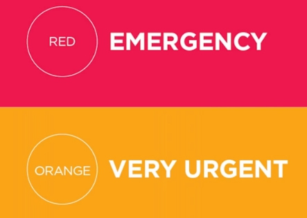 ertriage scale